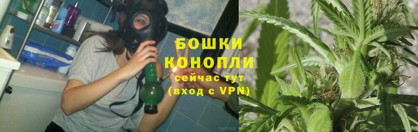 прущая мука Магас