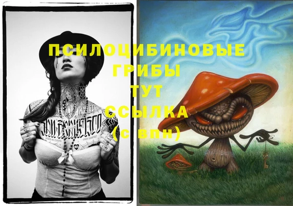 прущая мука Магас