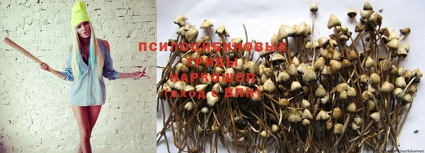 круглые Магадан