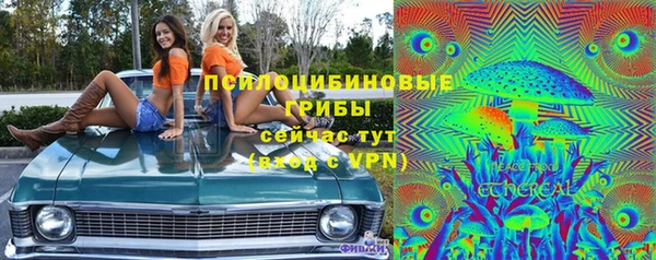 прущая мука Магас