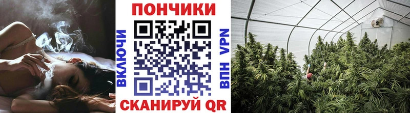 сколько стоит  Среднеколымск  Бошки марихуана THC 21% 